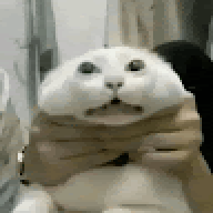 leetot