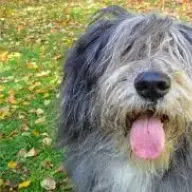 zaggggy