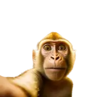 KESO