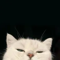 ggcun