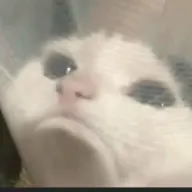 Geraan