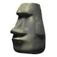sdyrsa