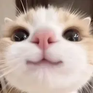 notnotnotfr