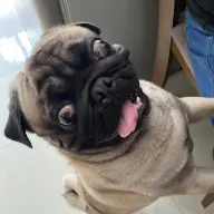 misterarco