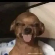 renzty
