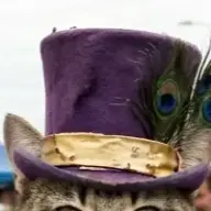 WillyMyWonka