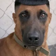 lapukkababoss69