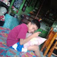 Pelletin