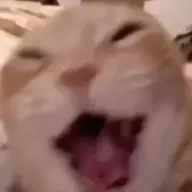 aerggvvv
