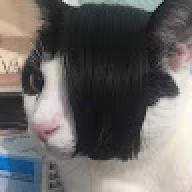 Rsuh