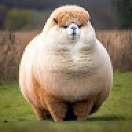 Gobcok
