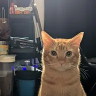 Wisfiss