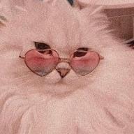 Rennisant