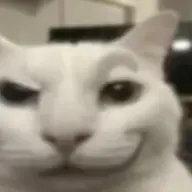 johnqt