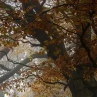 theunknown22