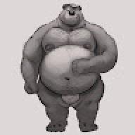 graybear72