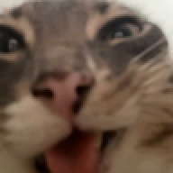 diddyblid