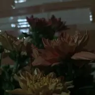 skrrrt8