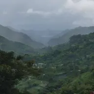 Jonardiks