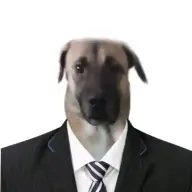 decastro_zildji