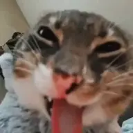 heyyy