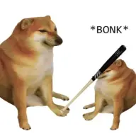 DingoBimbo