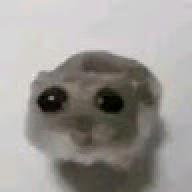 freid
