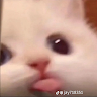yowkil