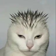 Eugene