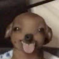 hsjxhwkjs