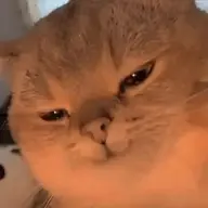 neverthrm