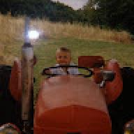 porco_coquin