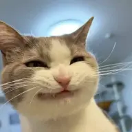 asasinokapuchino
