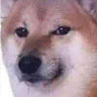 EkXD