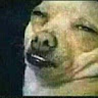 gssgvgff