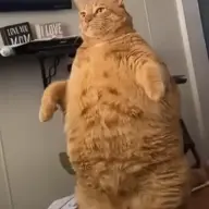 babalala