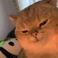 kekekekek