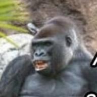 lololol
