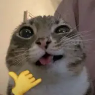 guggugugigig