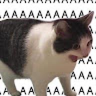 shimishimi