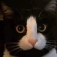 mlabrur