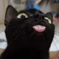 Rinzu