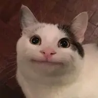 pikacho0o