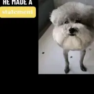 whatthesigmahdhdhdhd