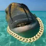 Xrkz