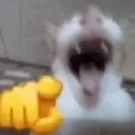 fggffff