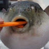 JimmyJimbo
