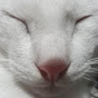 yyyyzzzz
