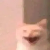 Roarken