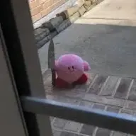 leooooo